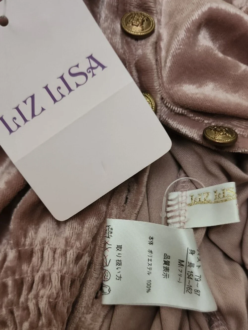 NWT LIZ LISA 🎀 Mauve Velvet Off-Shoulder Crop Top Front Button Open